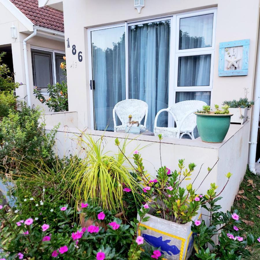 The Coelacanth Guest House And Beach Thyme Self Catering Kiddʼs Beach 외부 사진