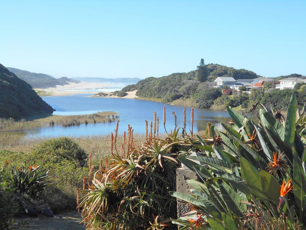 The Coelacanth Guest House And Beach Thyme Self Catering Kiddʼs Beach 외부 사진