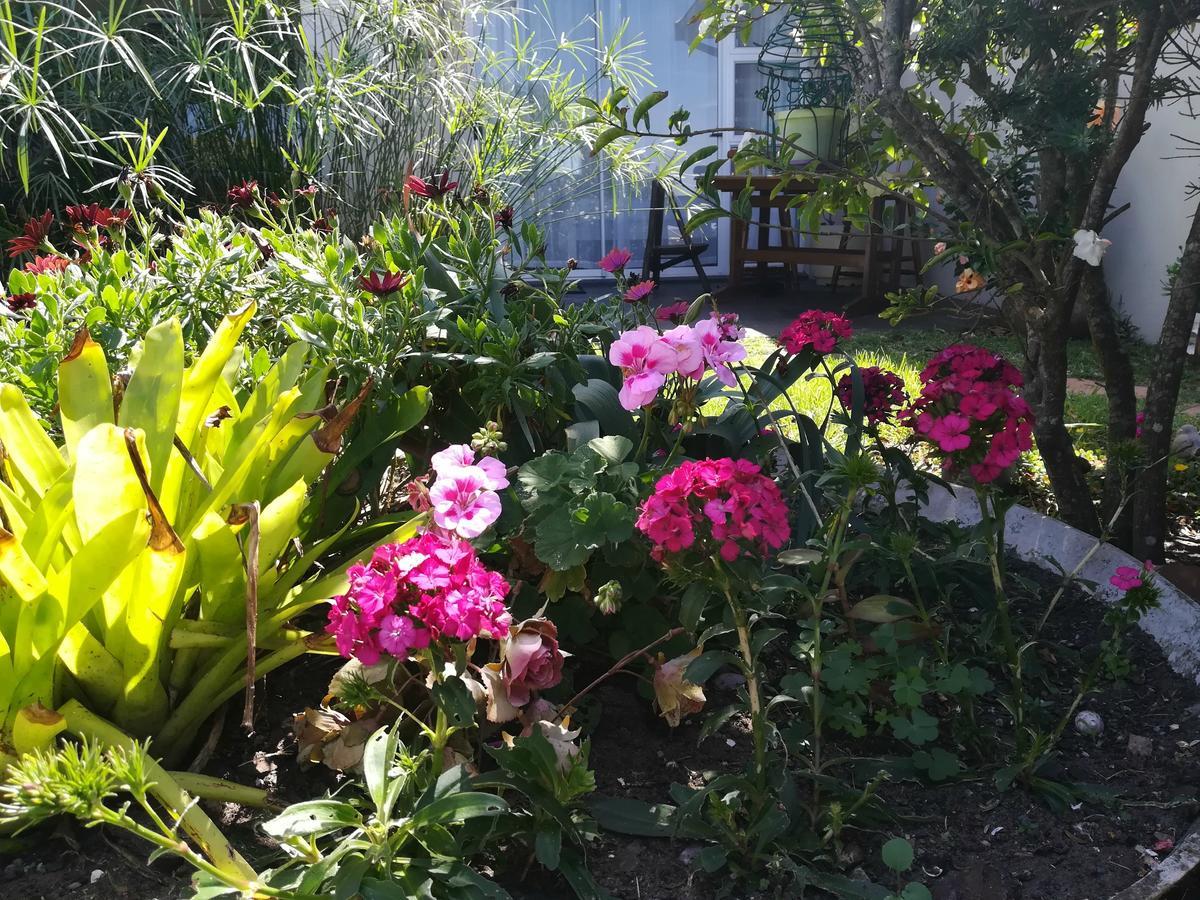 The Coelacanth Guest House And Beach Thyme Self Catering Kiddʼs Beach 외부 사진