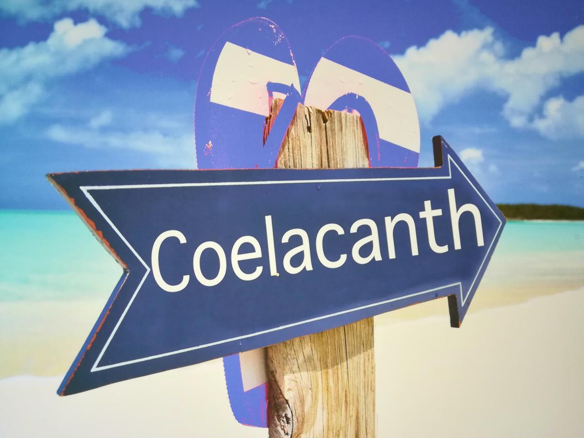 The Coelacanth Guest House And Beach Thyme Self Catering Kiddʼs Beach 외부 사진
