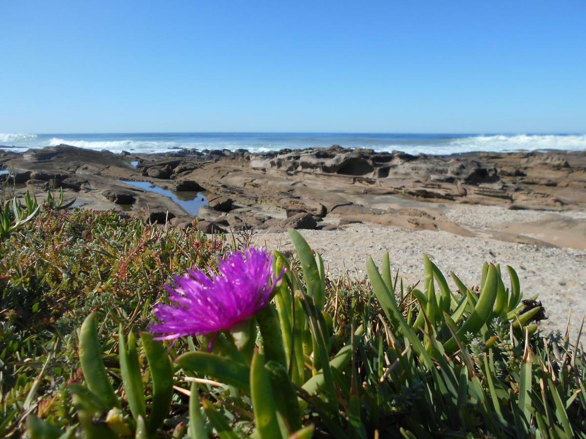 The Coelacanth Guest House And Beach Thyme Self Catering Kiddʼs Beach 외부 사진